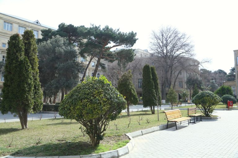 Green Spaces Are Being Increased on the AzTU Campus